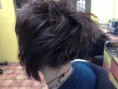 /album/hairlife-ucesy/a2011-02-04-18-35-18-jpg1/